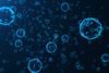 Immune cells