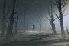 Will This Fog Last Forever?