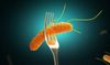 How to Avoid Food Poisoning