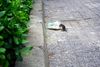 If You Have Pests, Now Feels Like The Time to Deal with Them.