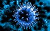 Wait a Minute. Do They Actually Want a Bird Flu Pandemic? A Look at the Preparations.
