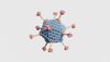 Don't Assume You're Safe from Measles, Even if You're Vaccinated