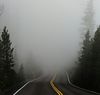 Road heads into fog.