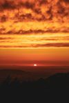 How to Survive The Hottest Summers in Human History