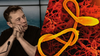What They Don't Want You to Know About Ebola. Three Big Things.