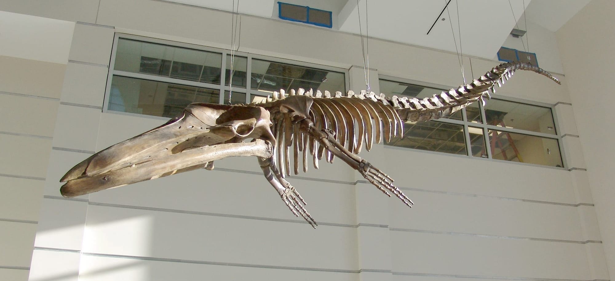 Life...From a Certain Point of View