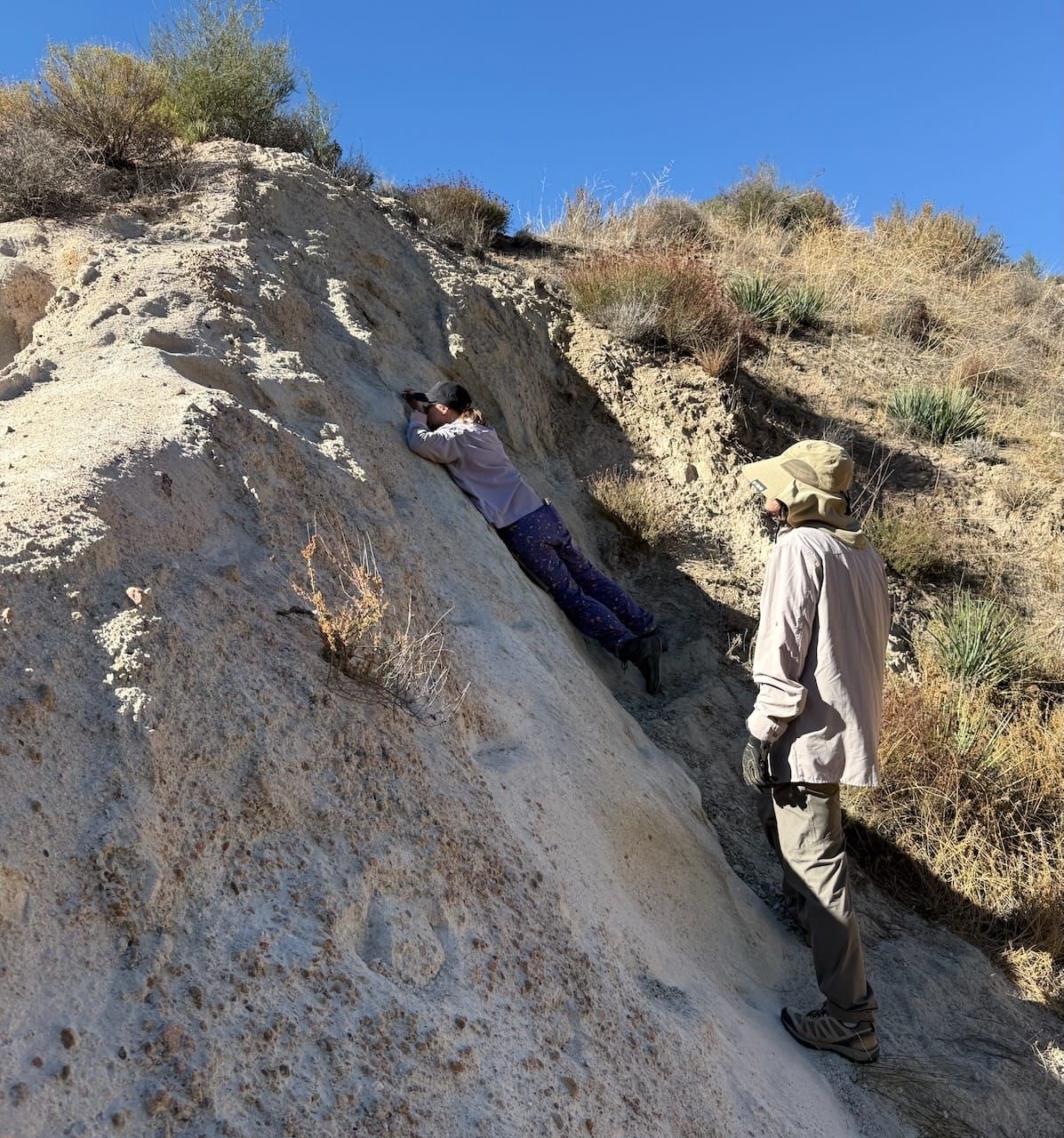 New Miocene tooth