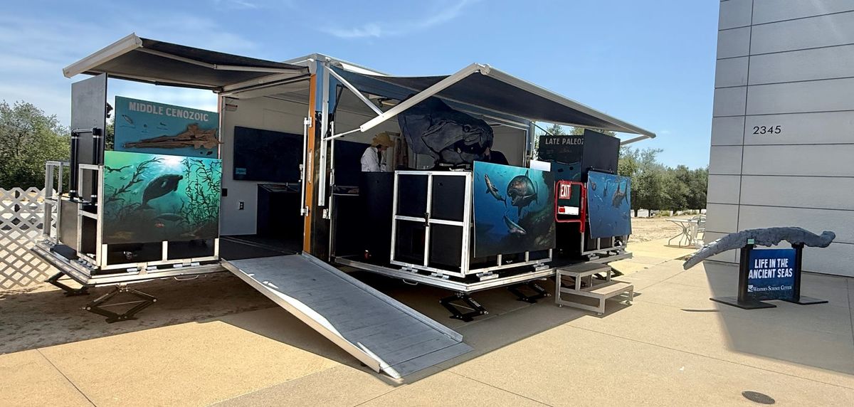 Life in the Ancient Seas