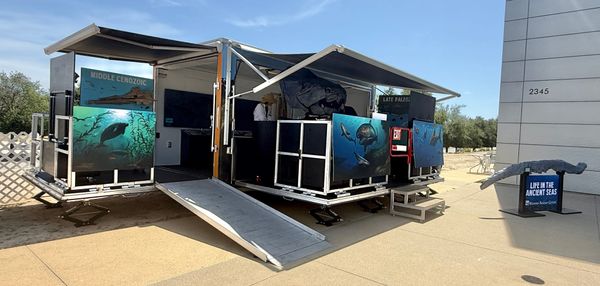 Life in the Ancient Seas