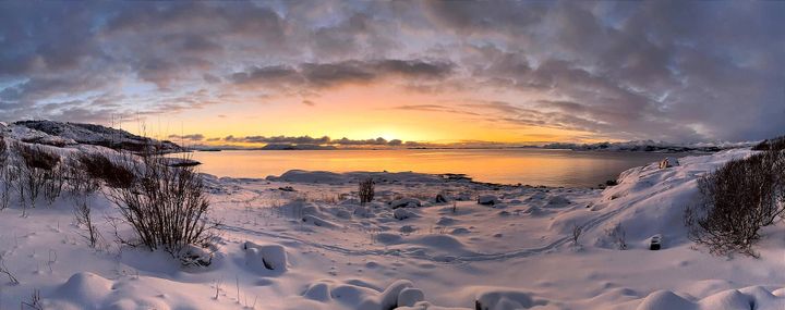 Northern Lights, Brunost & Unexpected Adventures – Winter Adventure in Norway