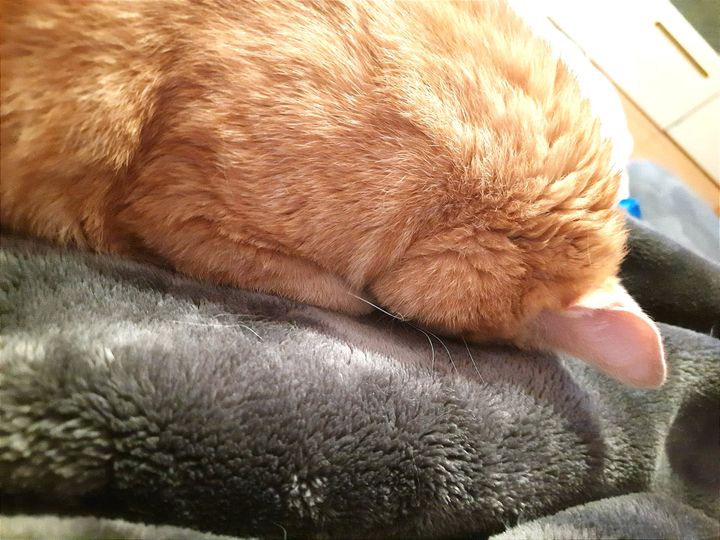 Stillness, Sugar & Self-Trust - A Week in Leipzig