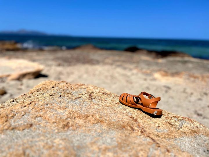 Senile dogs, Banoffee Blues and Learning to Be Alone - Mallorca