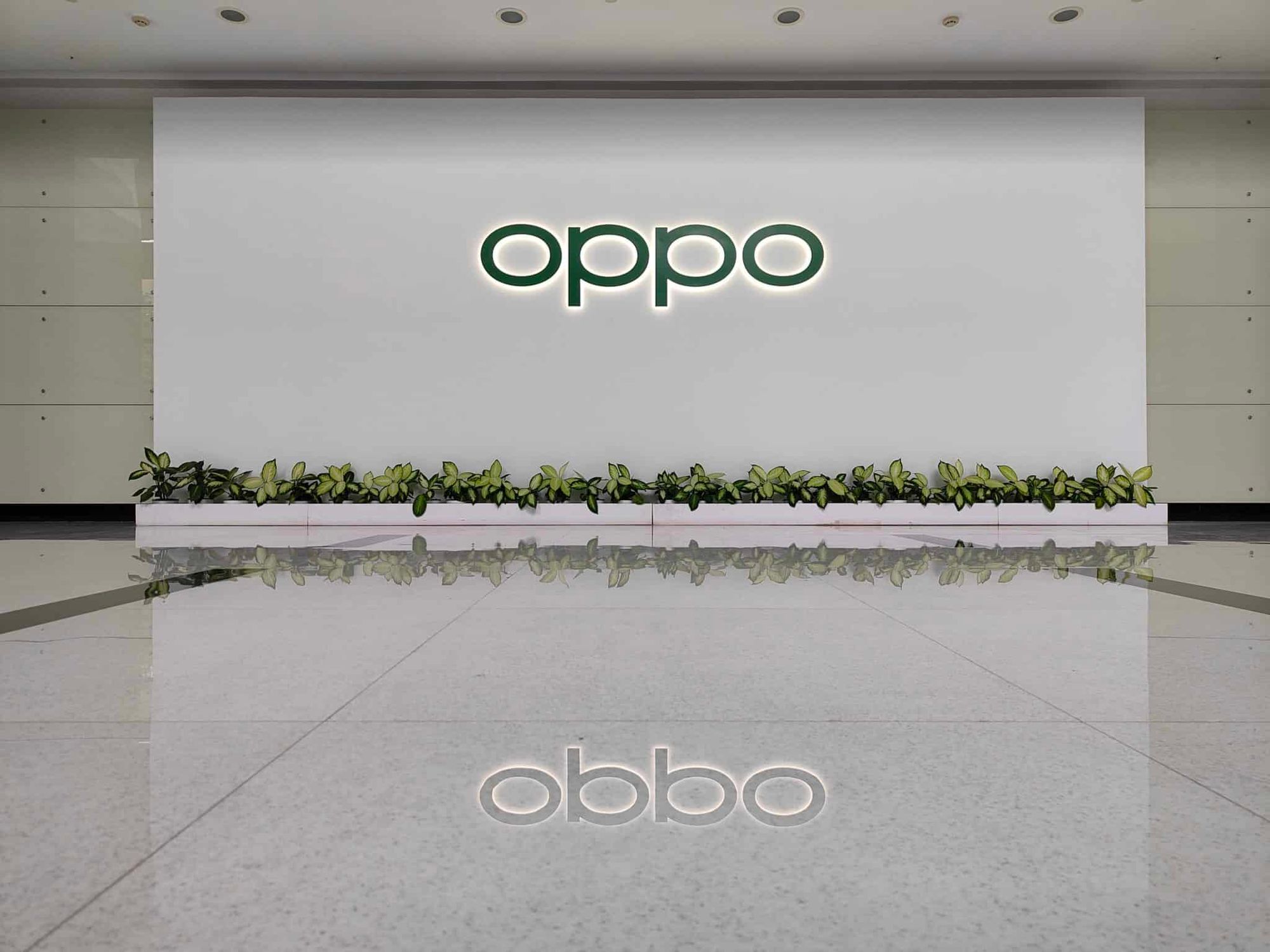 Das Oppo Logo 
