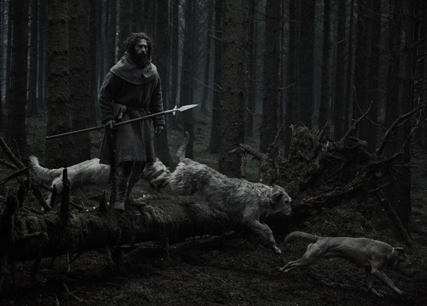 Aaron Taylor-Johnson und ein Rudel Jagdhunde im neuen Horrorfilm von Robert Eggers: «Werwulf»