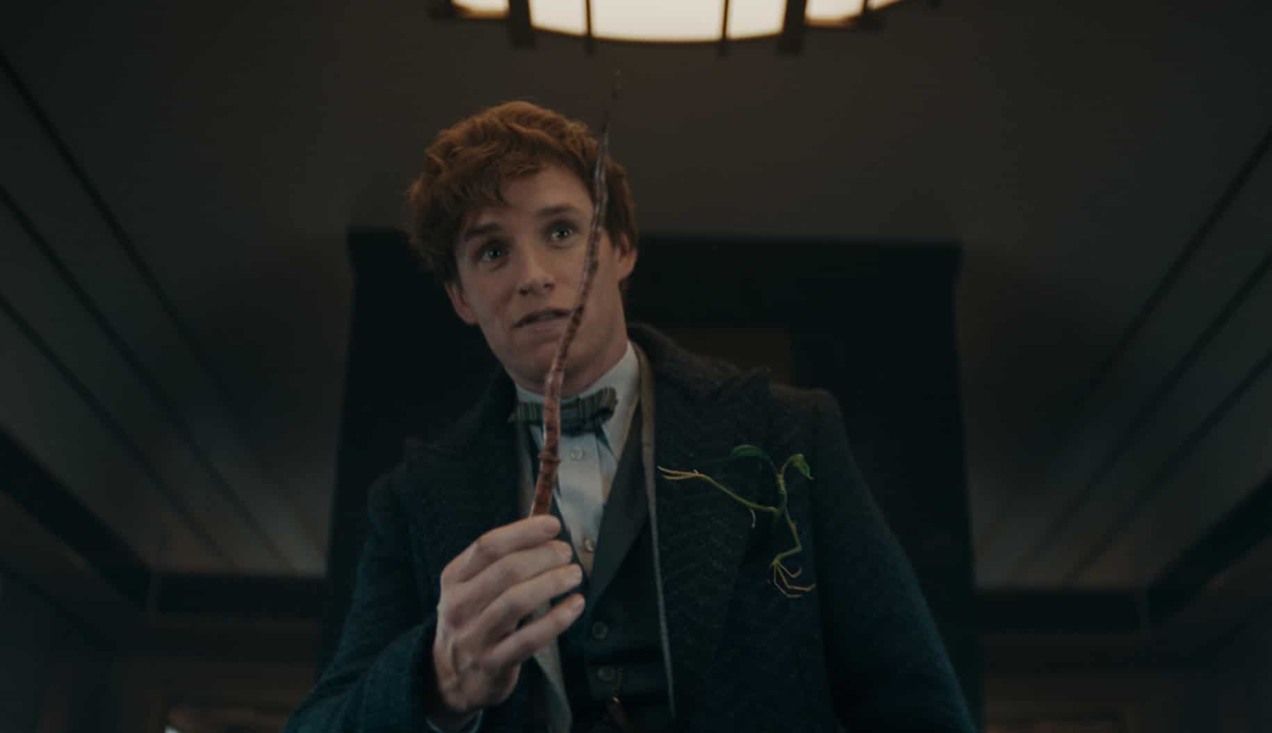 Phantastische Tierwesen 3