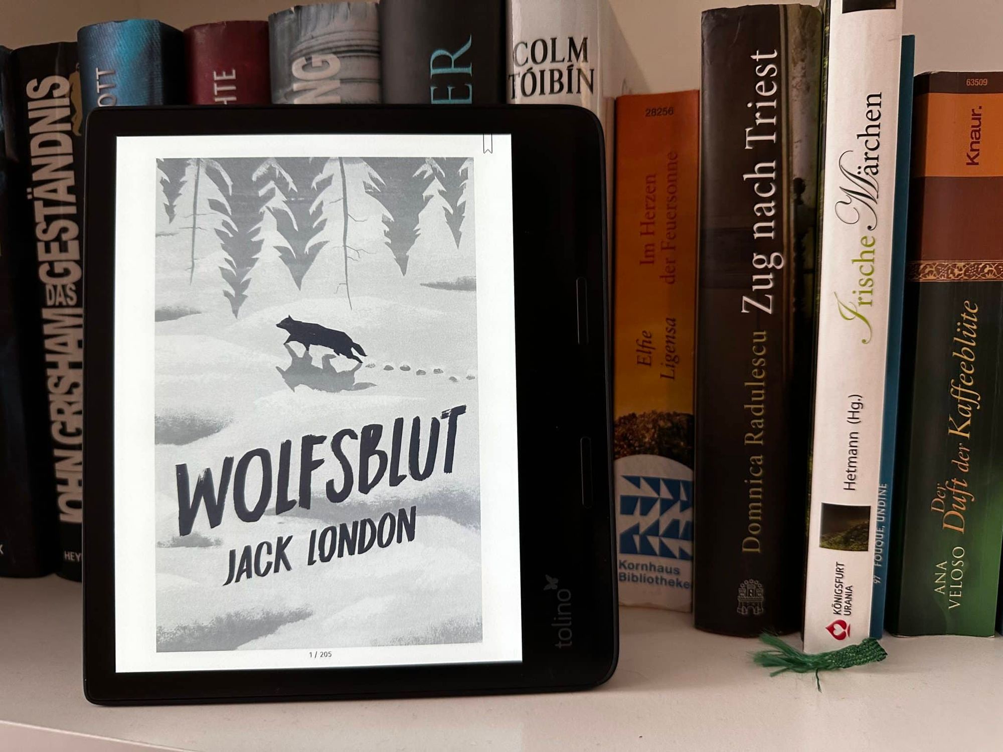 Tolino epos 3 im Bücherregal