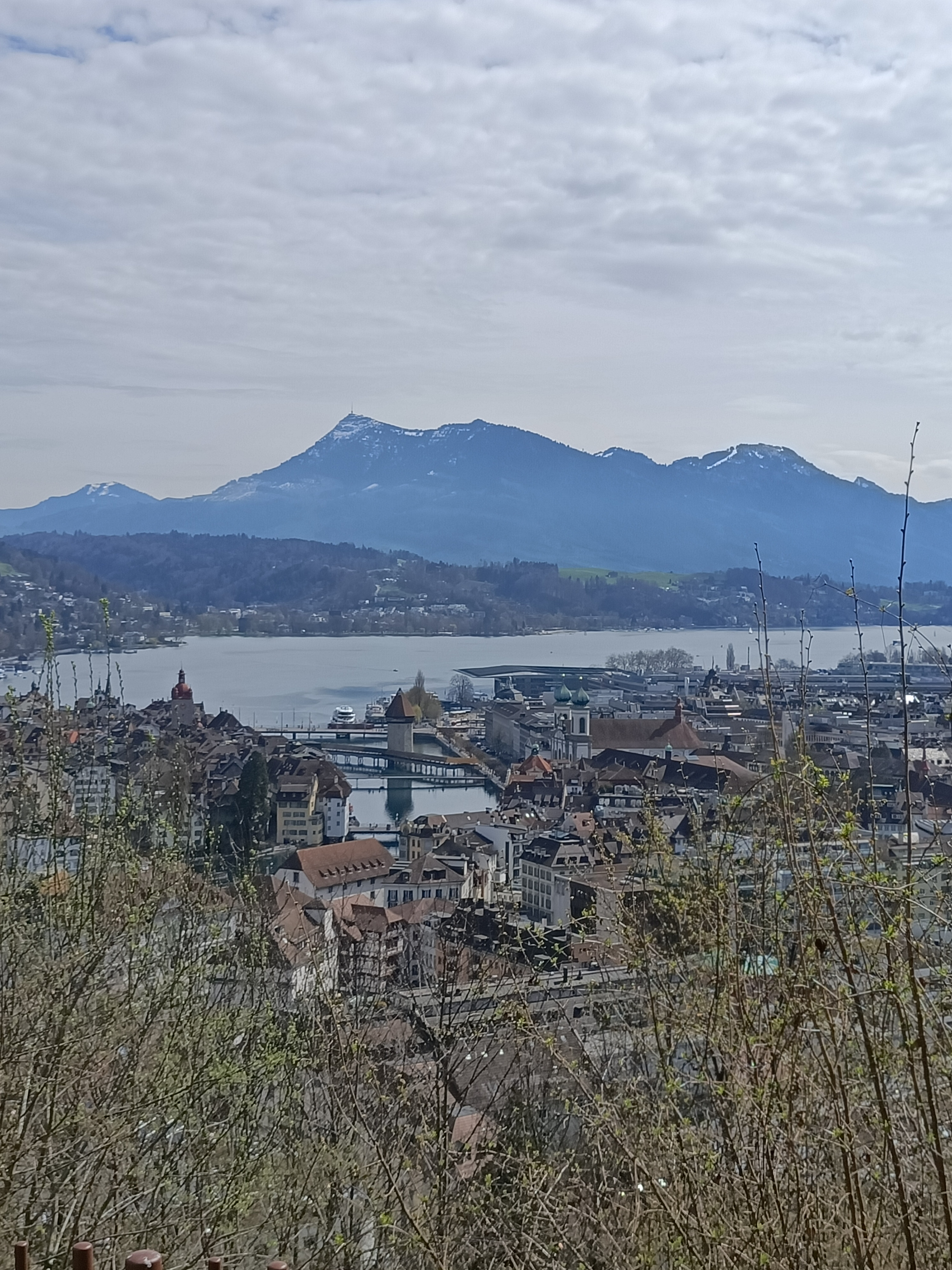 Oppo Reno 4 Z: Wie gut ist der Zoom?