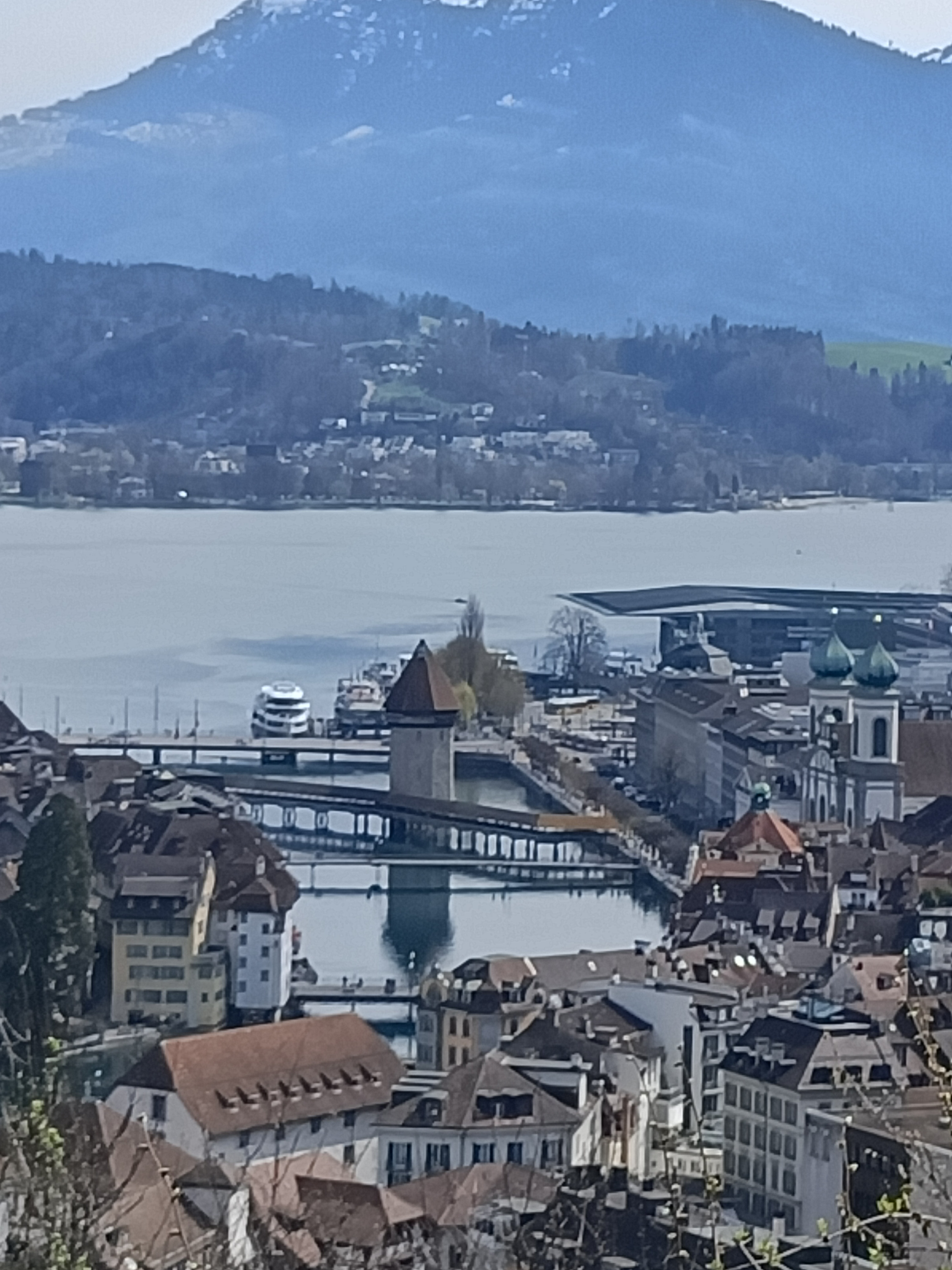 Oppo Reno 4 Z: Wie gut ist der Zoom?