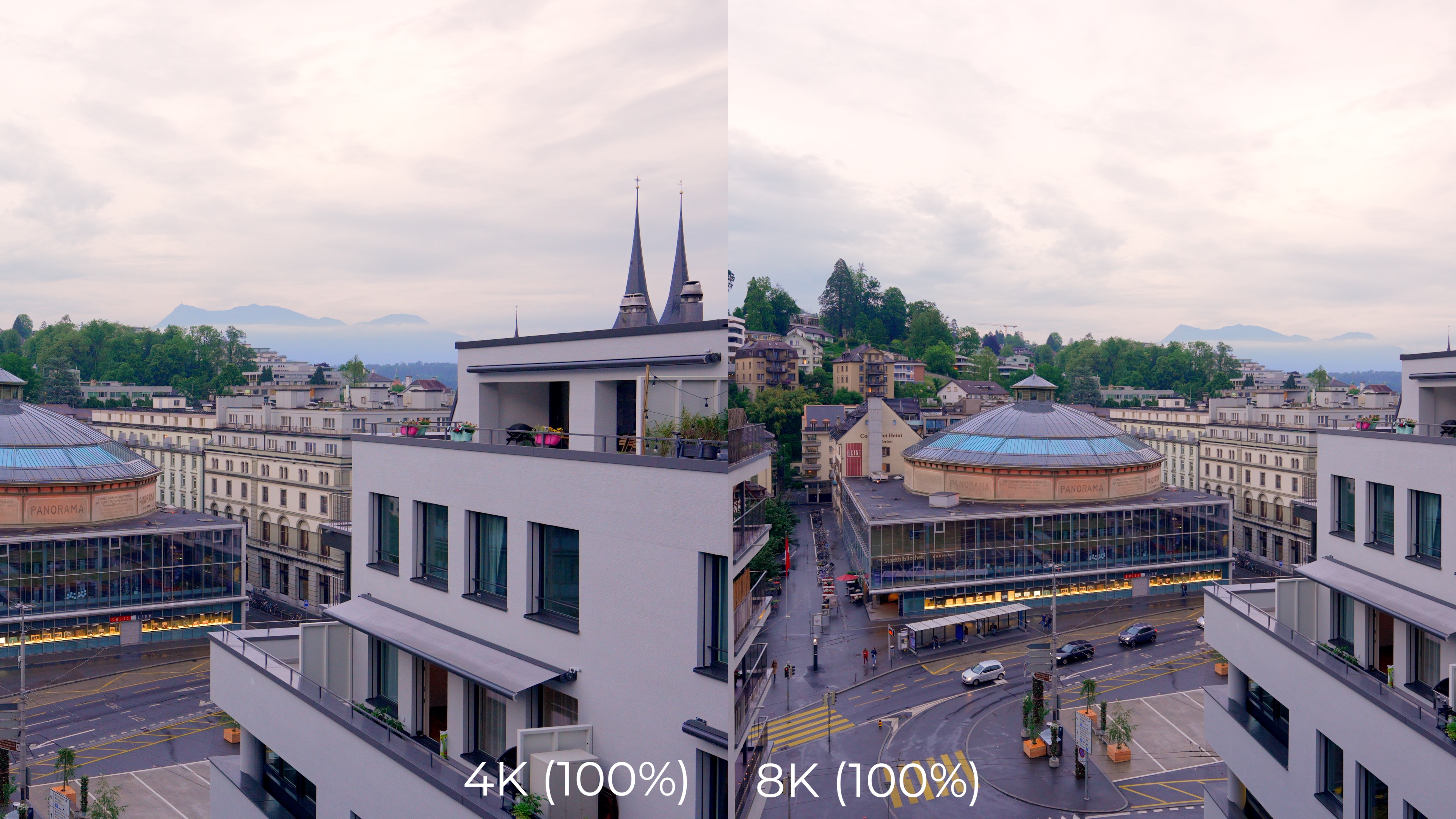 Sony Alpha 1 Beispielfotos etwas bearbeitet.