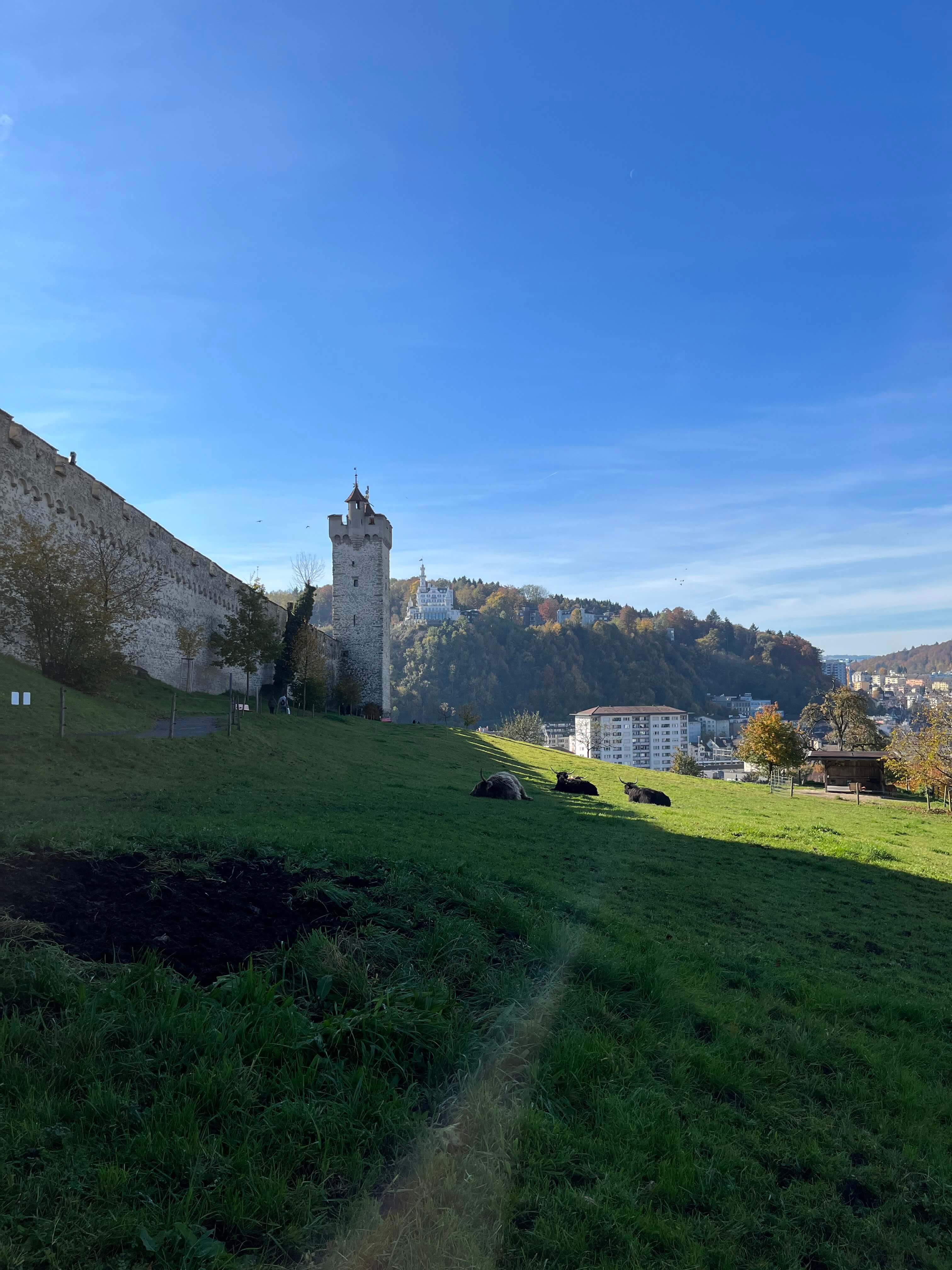 Beispielfoto iPhone 13 Mini Kameratest.