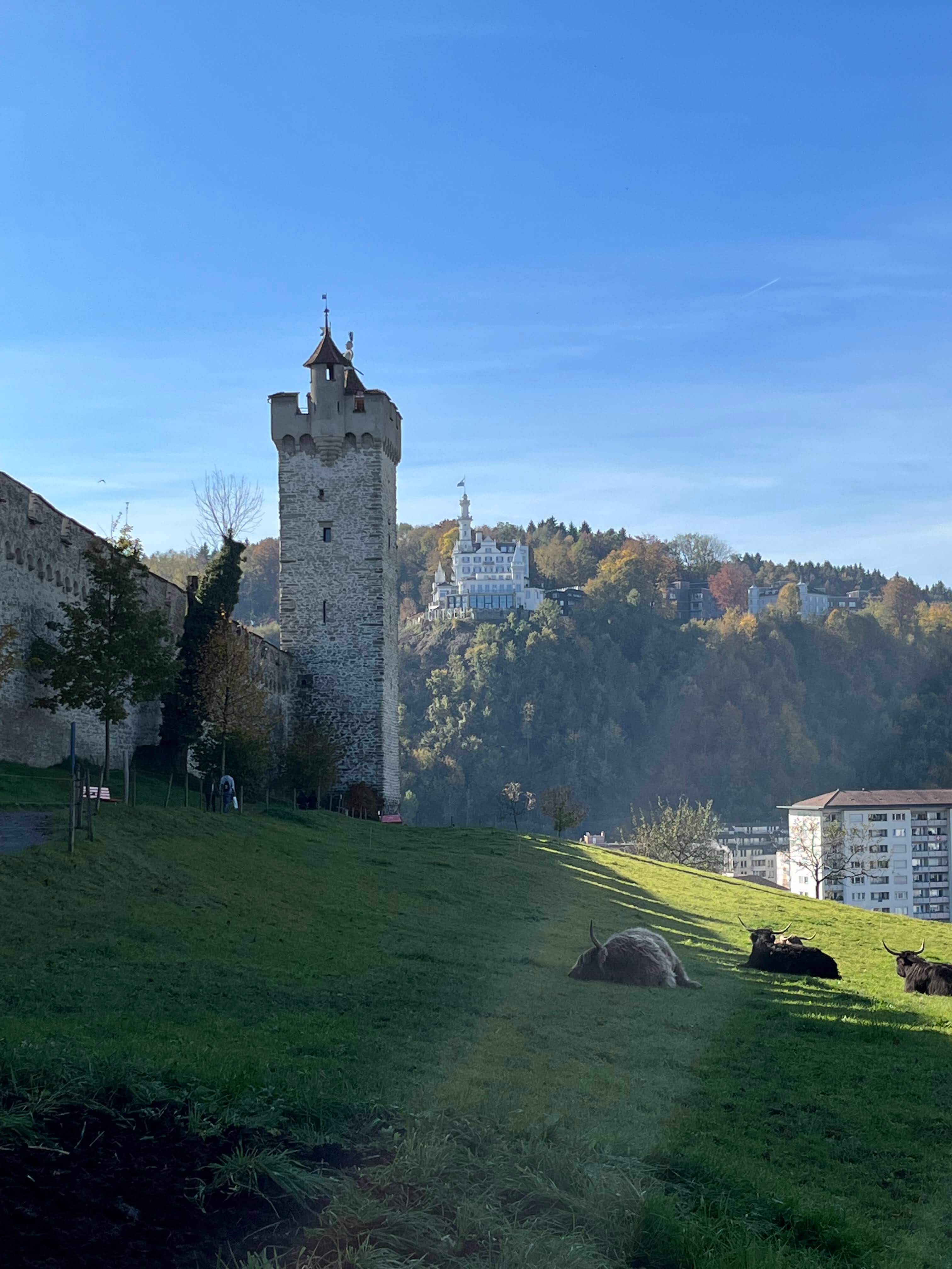 Beispielfoto iPhone 13 Mini Kameratest.