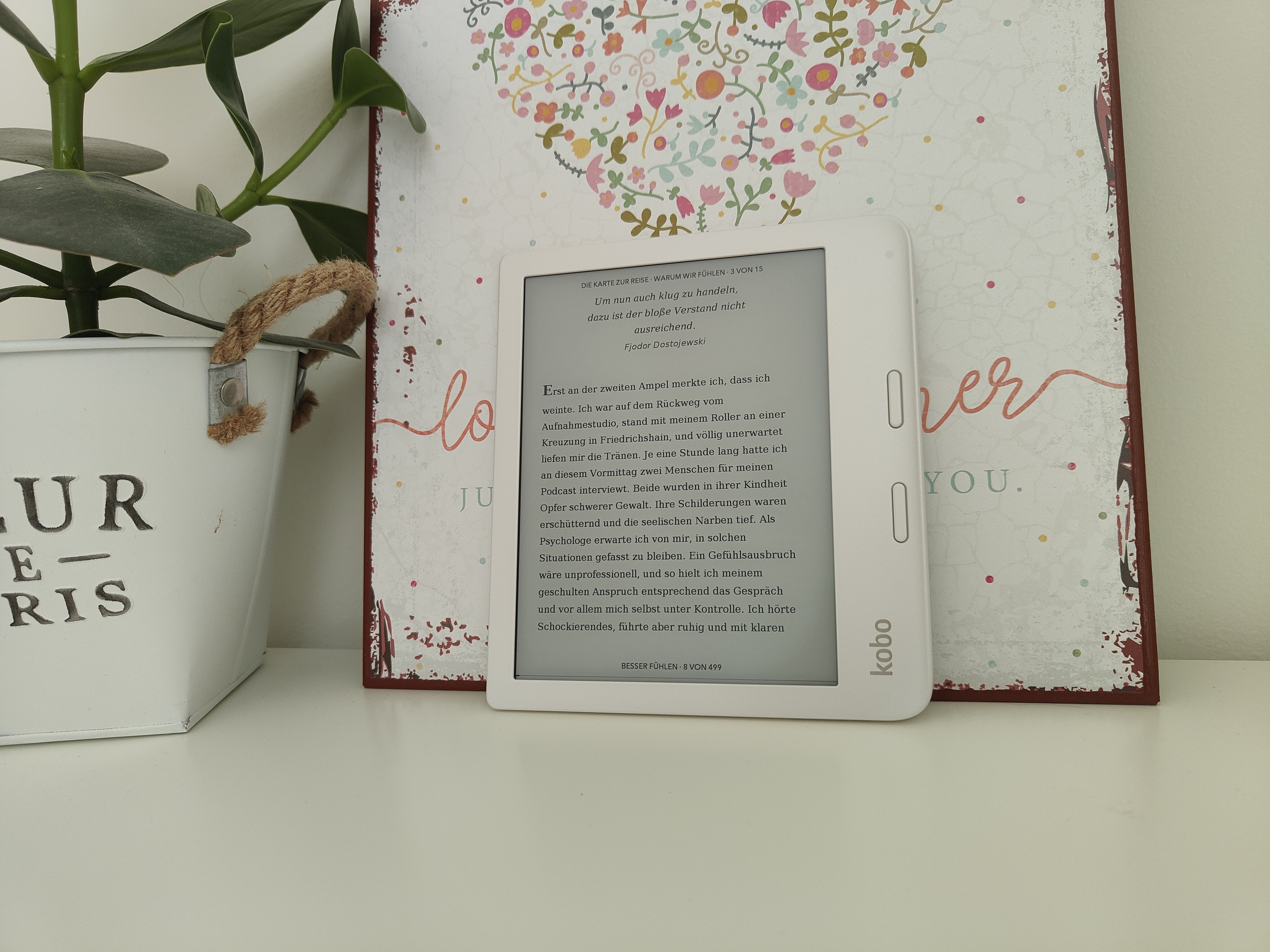 Kobo Libra 2 Lesemodus