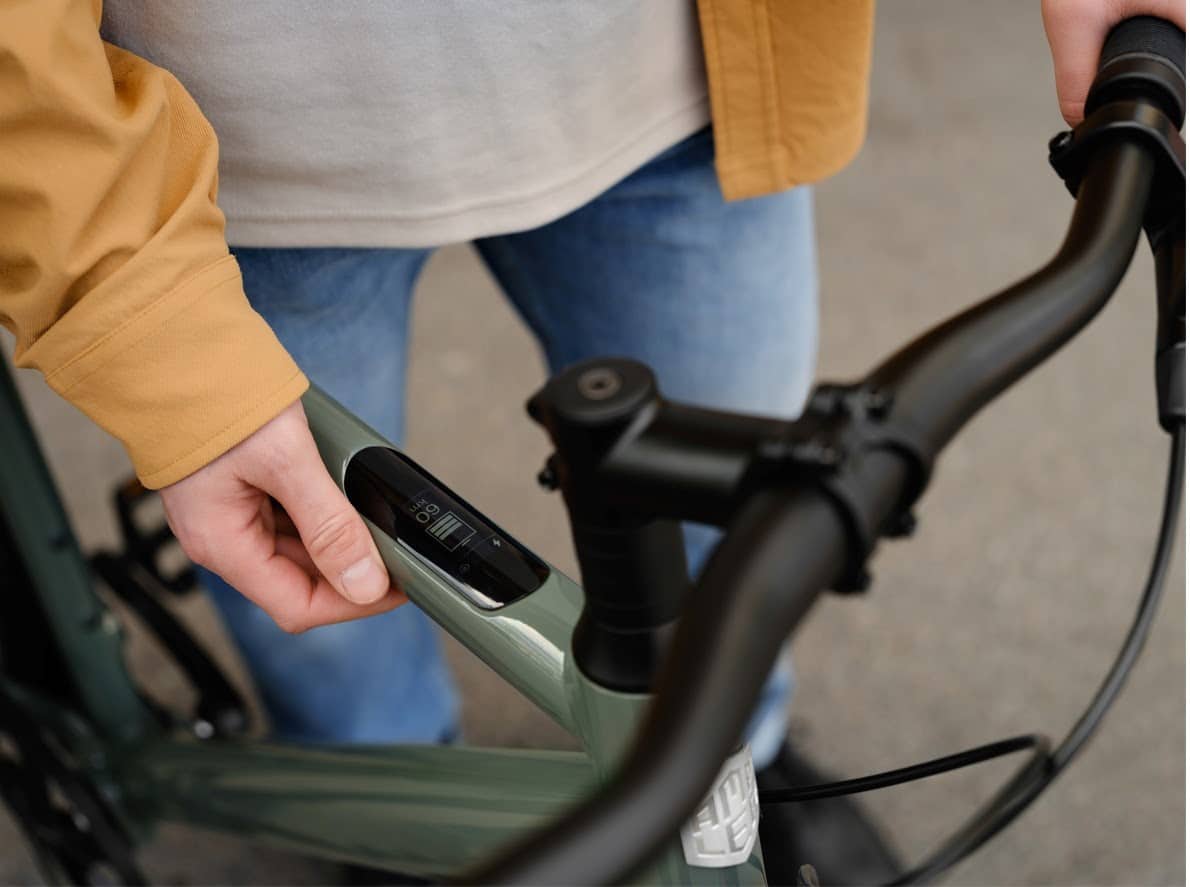 Ampler Bike Axel Display