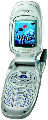 Das Samsung SGH-T100