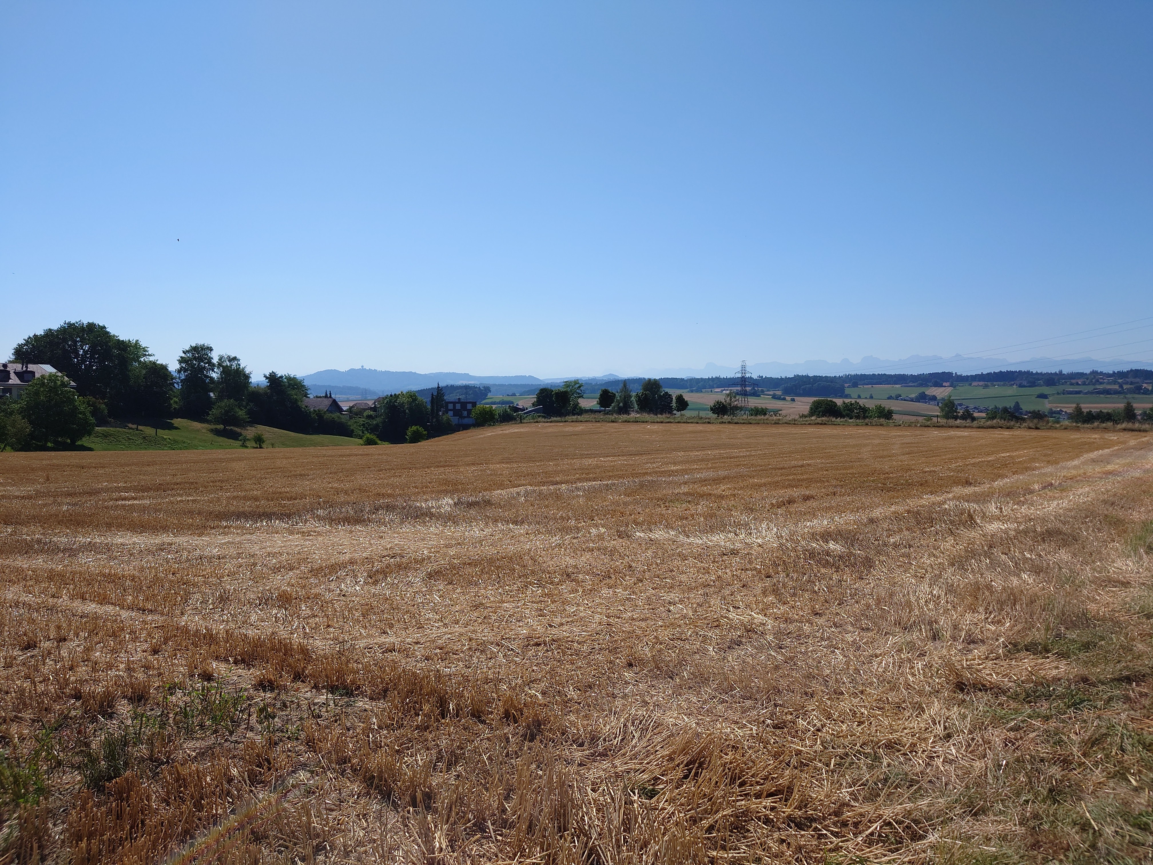 Sony Xperia 1 IV Foto mit Hauptkamera 