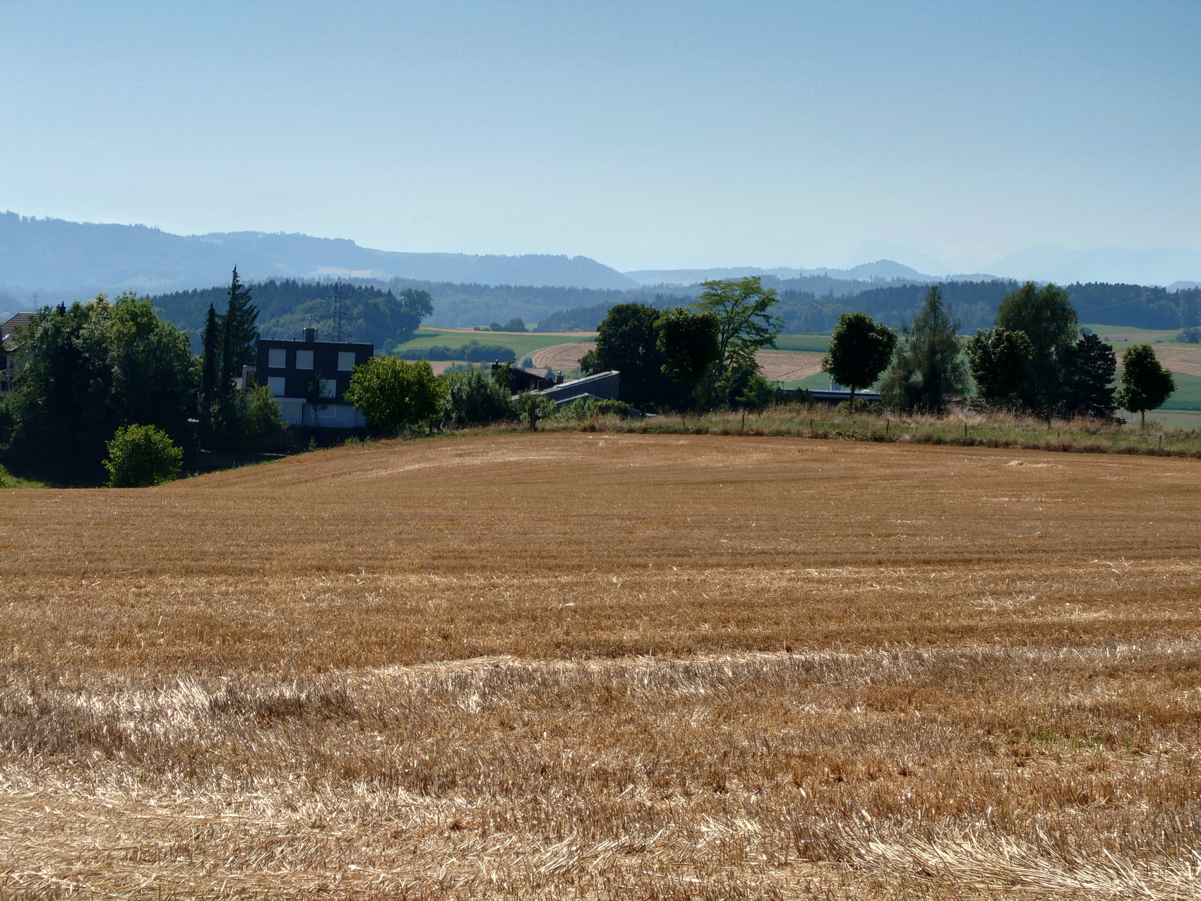 Sony Xperia 1 IV Foto mit Zoom