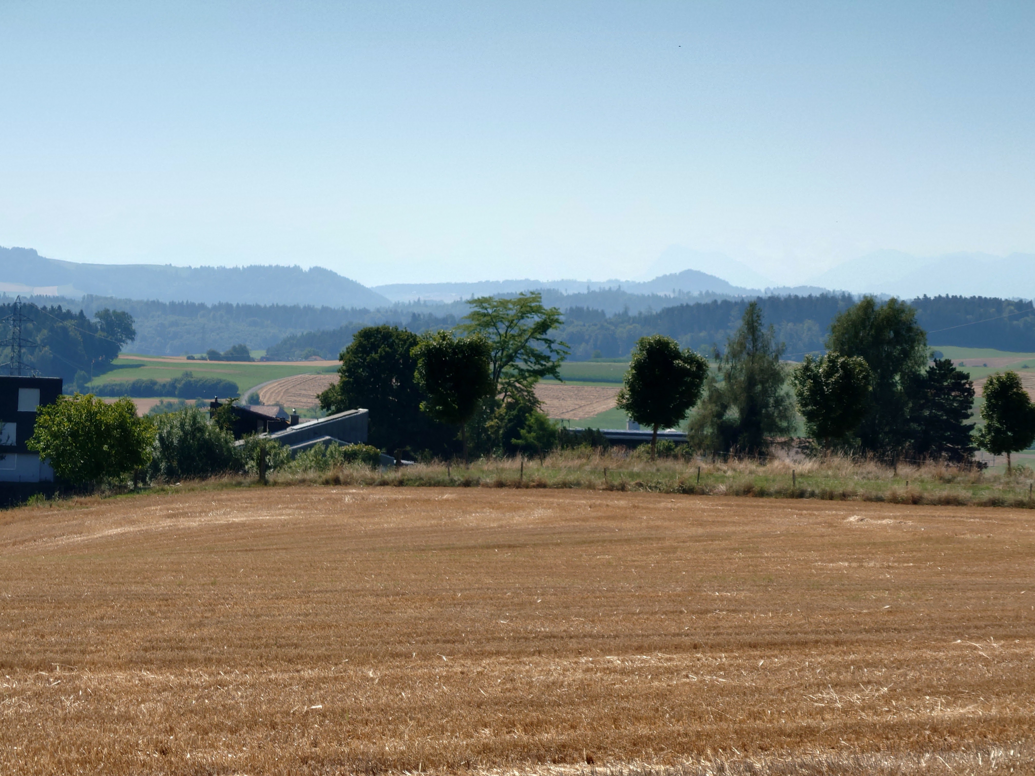 Sony Xperia 1 IV Foto mit Zoom 2