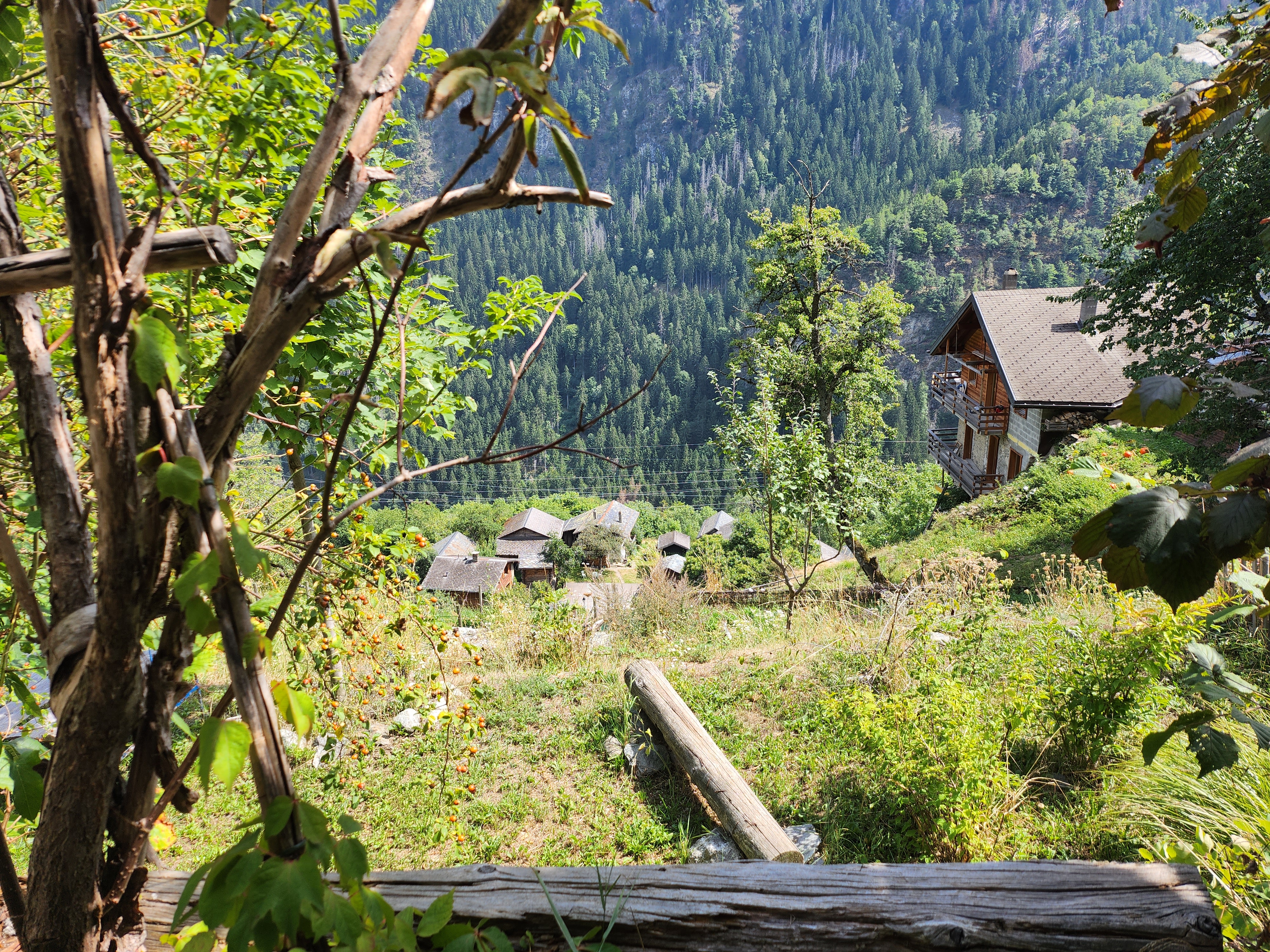 Samsung Galaxy Z Flip 4 Kamera-Test: Landschaftsfotografie leicht überbelichtet.