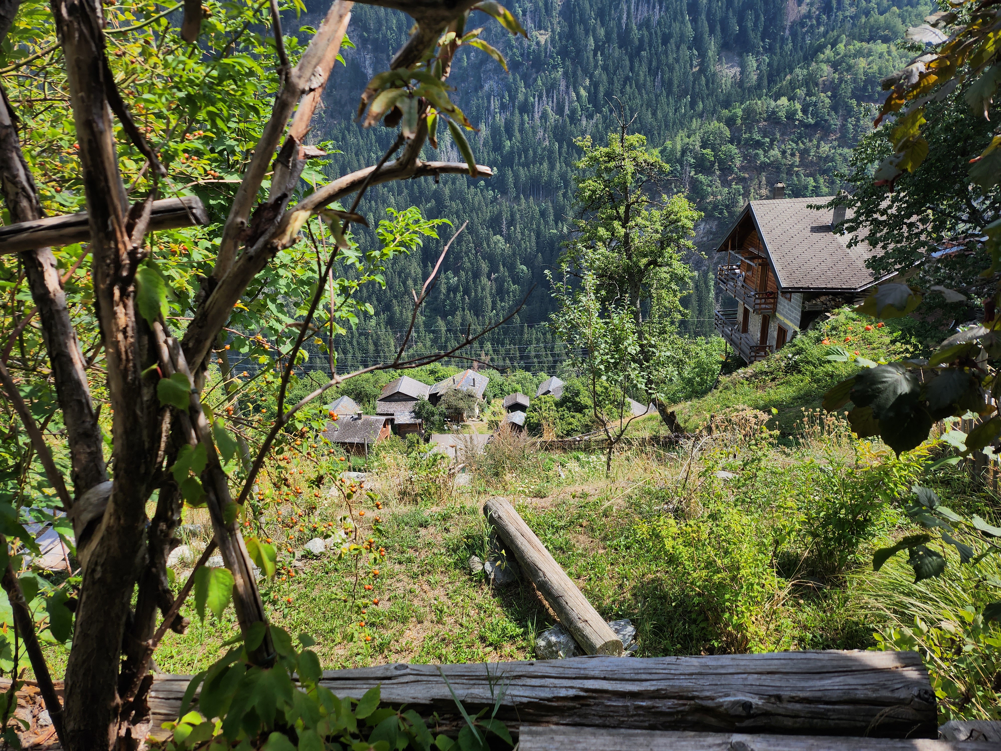 Samsung Galaxy Z Flip 4 Kamera-Test: Landschaftsfotografie.