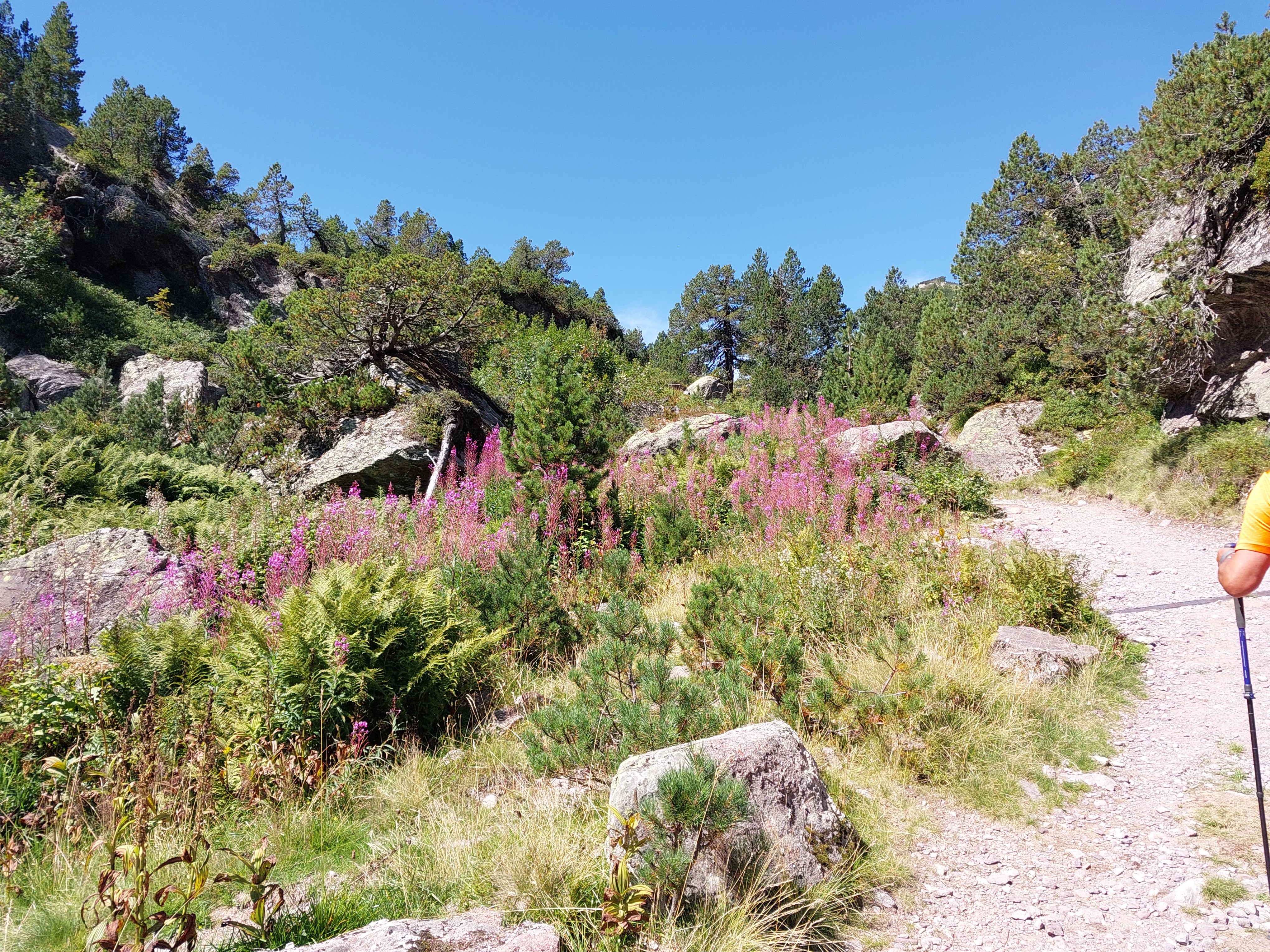 Beispielfoto mit dem Galaxy XCover 6 Pro.