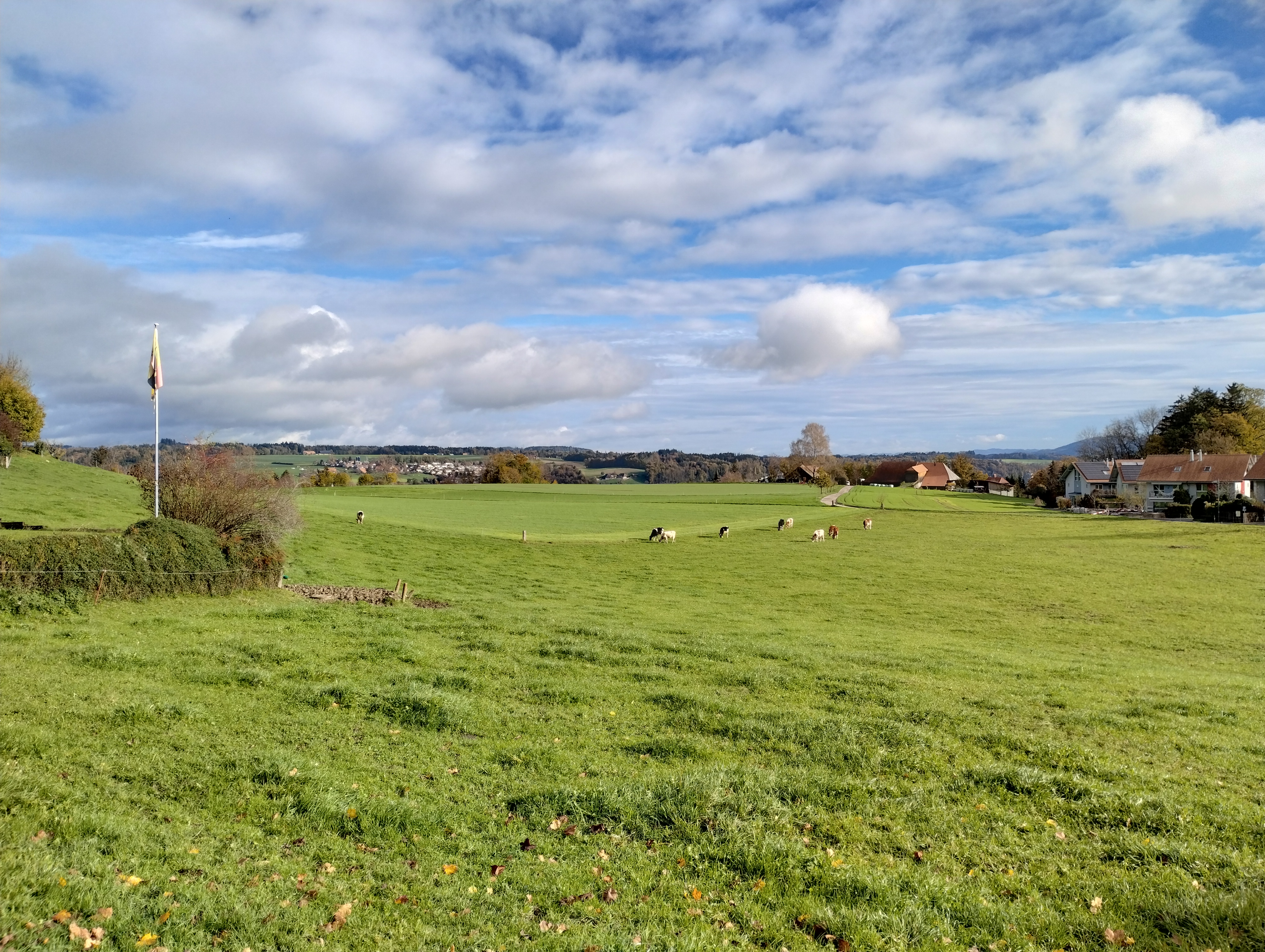 Bild mit der Hauptkamera
