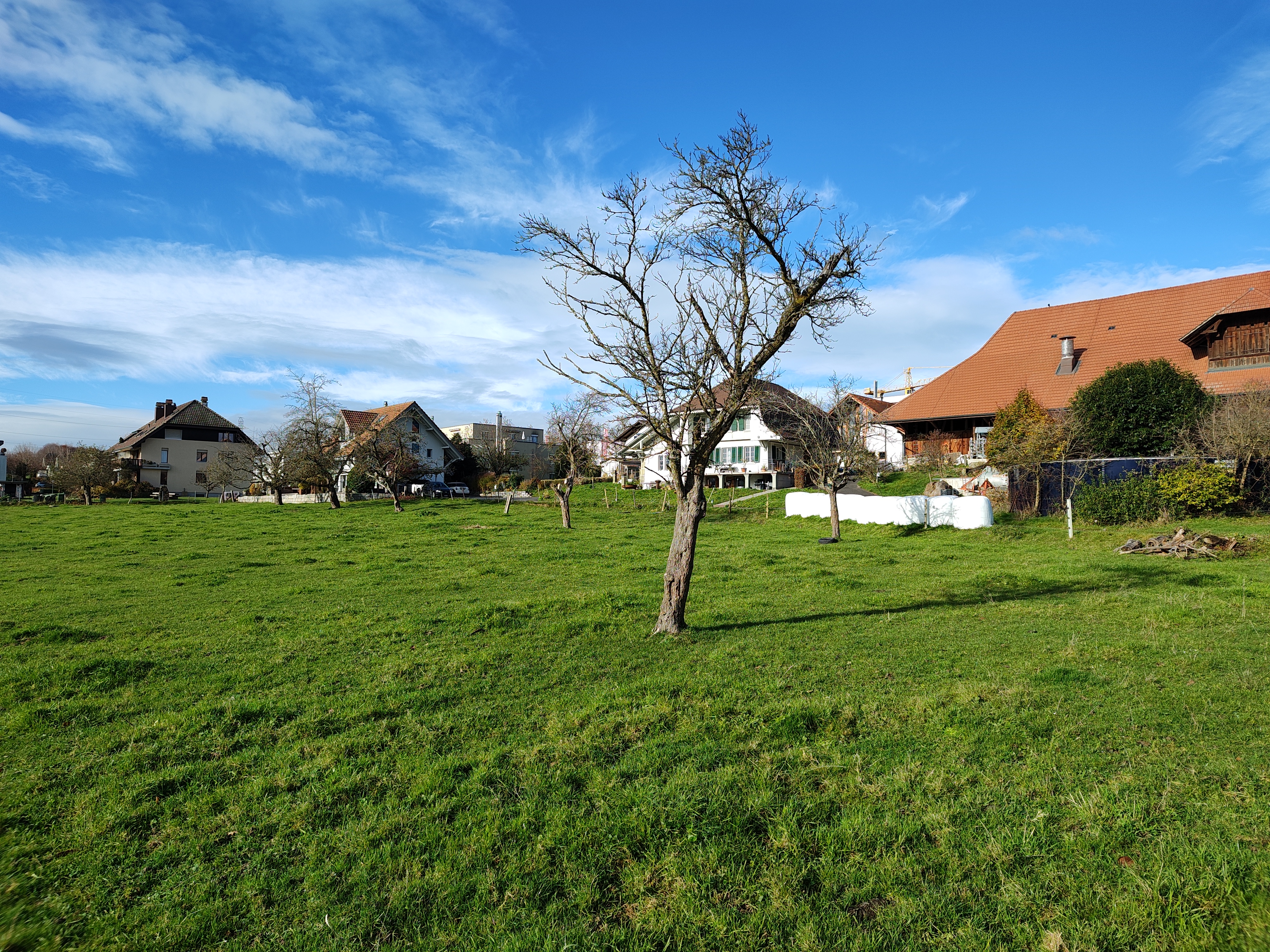Aufnahme mit der Hauptkamera 