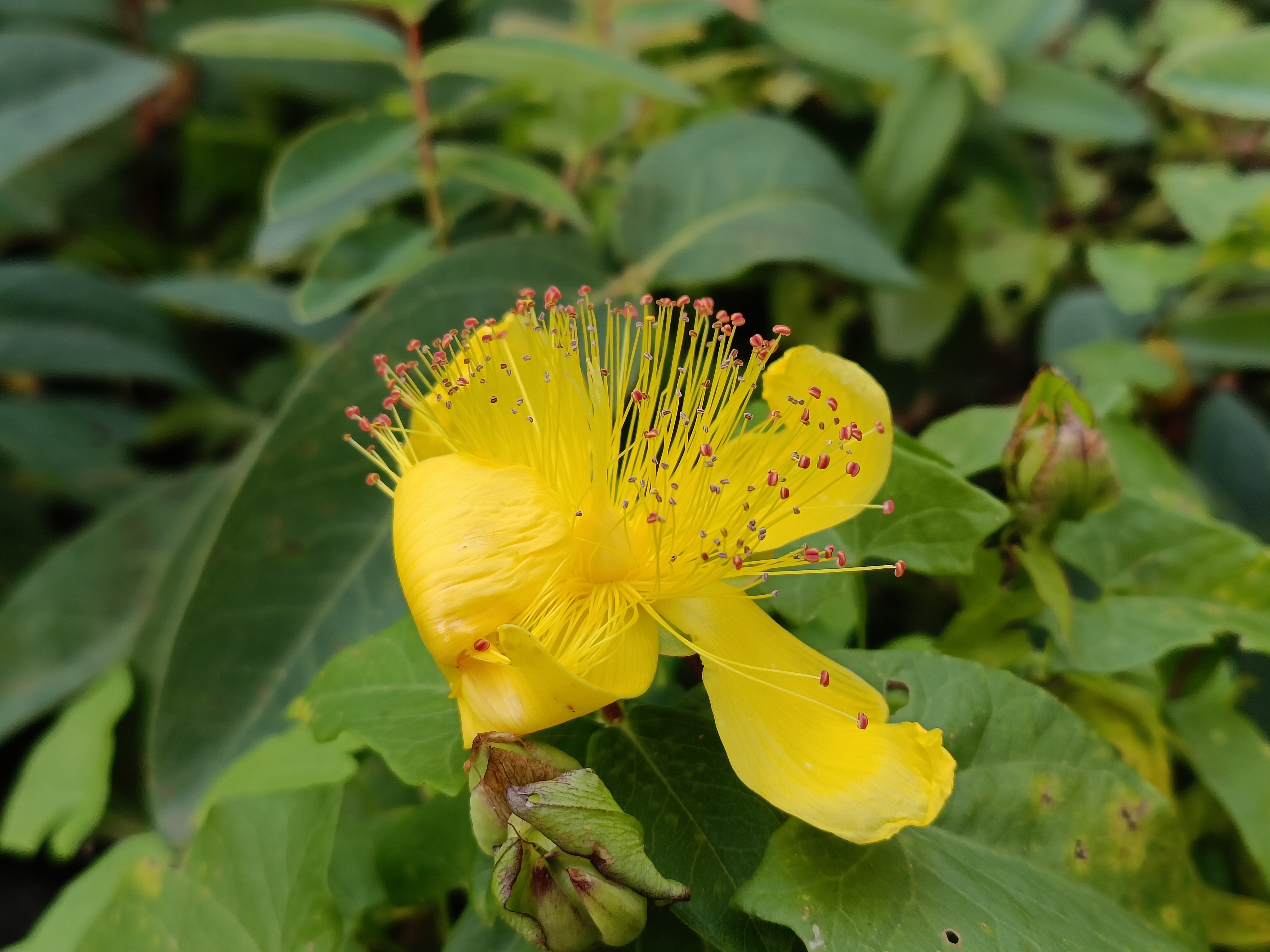 Foto mit KI und HDR.