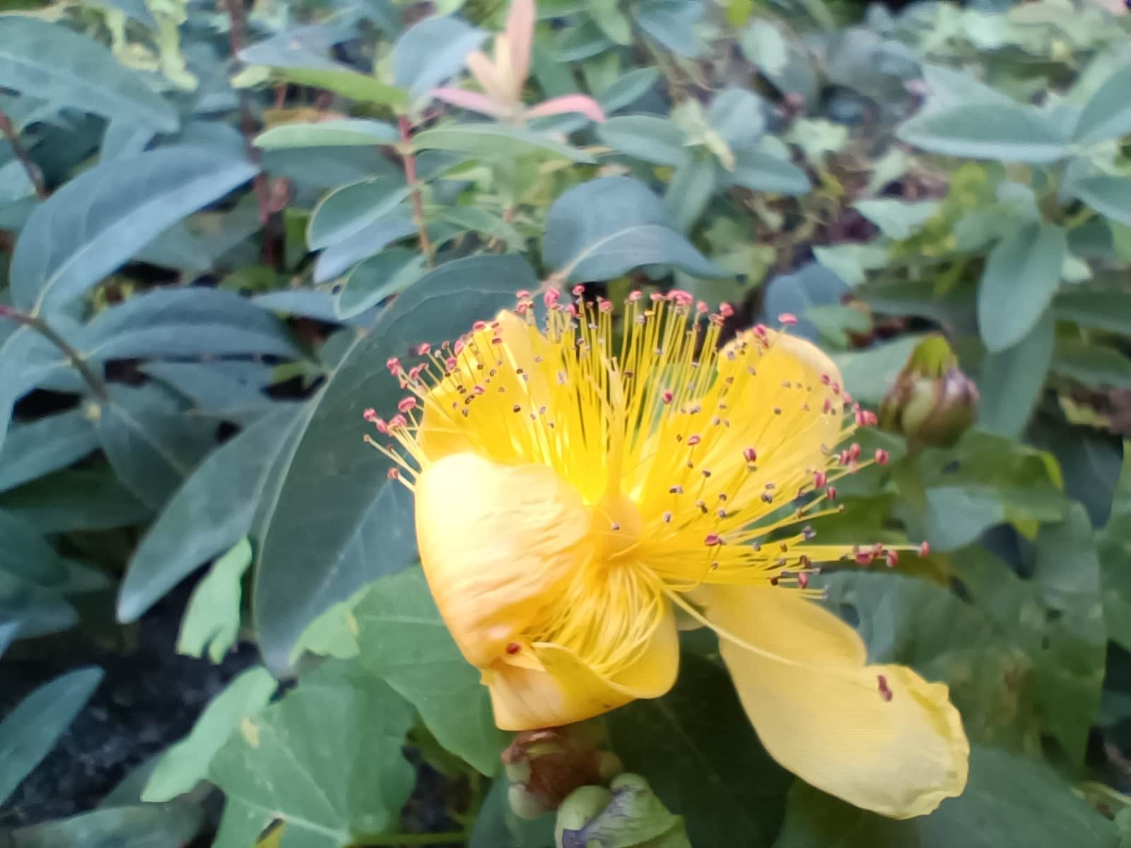 Foto ohne HDR und KI.