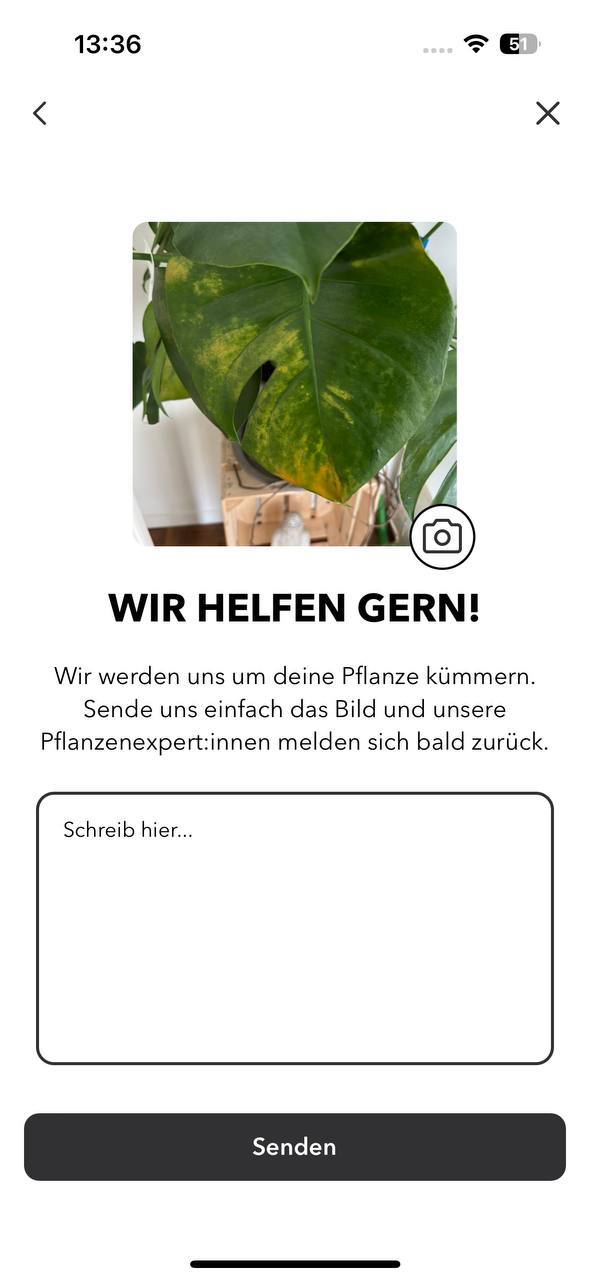 Fyta App hilft, Krankheiten und Schädlinge zu erkennen.