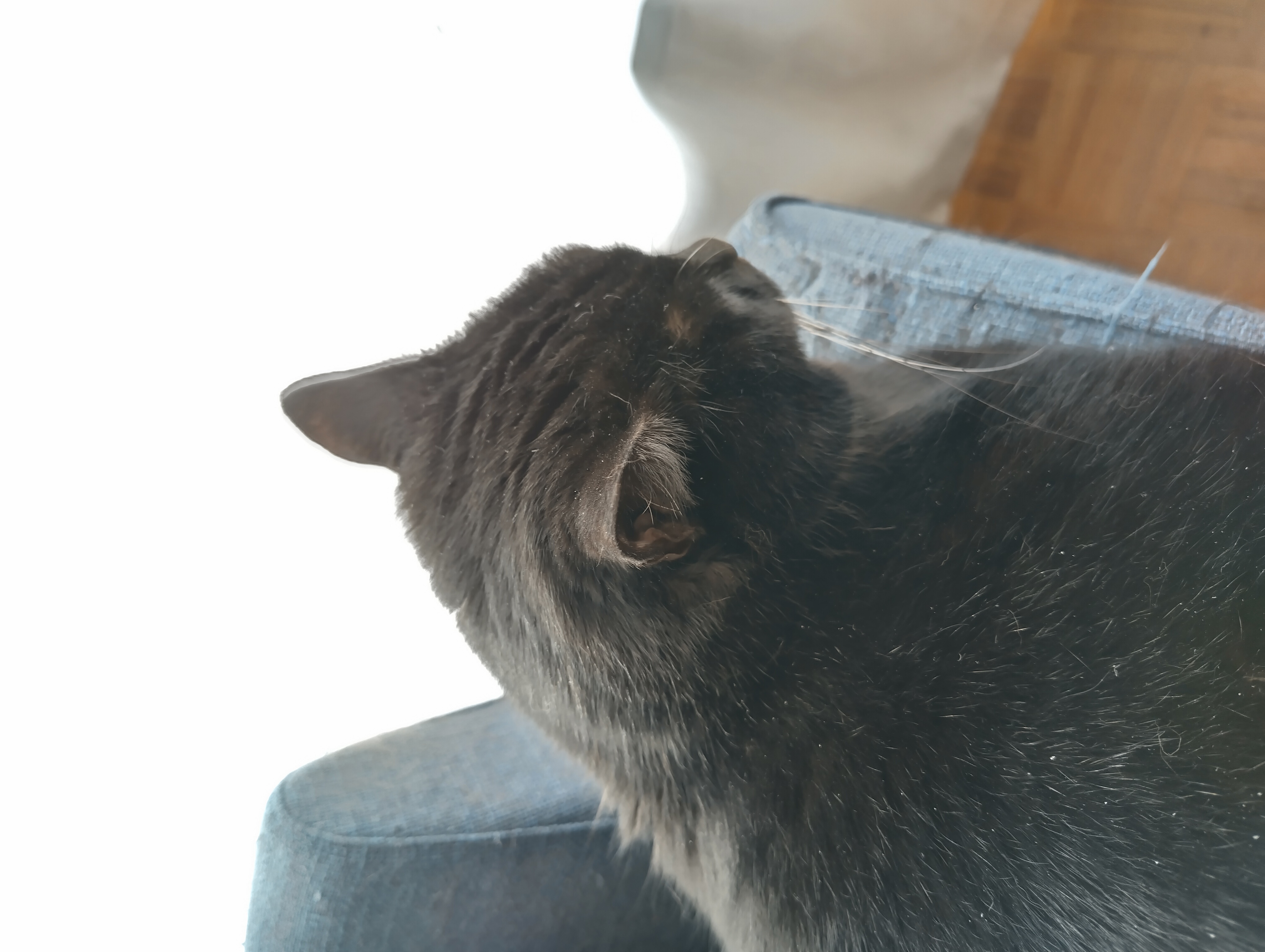 Beispielfoto mit der Kamera des Nokia X30 bei Gegenlicht.