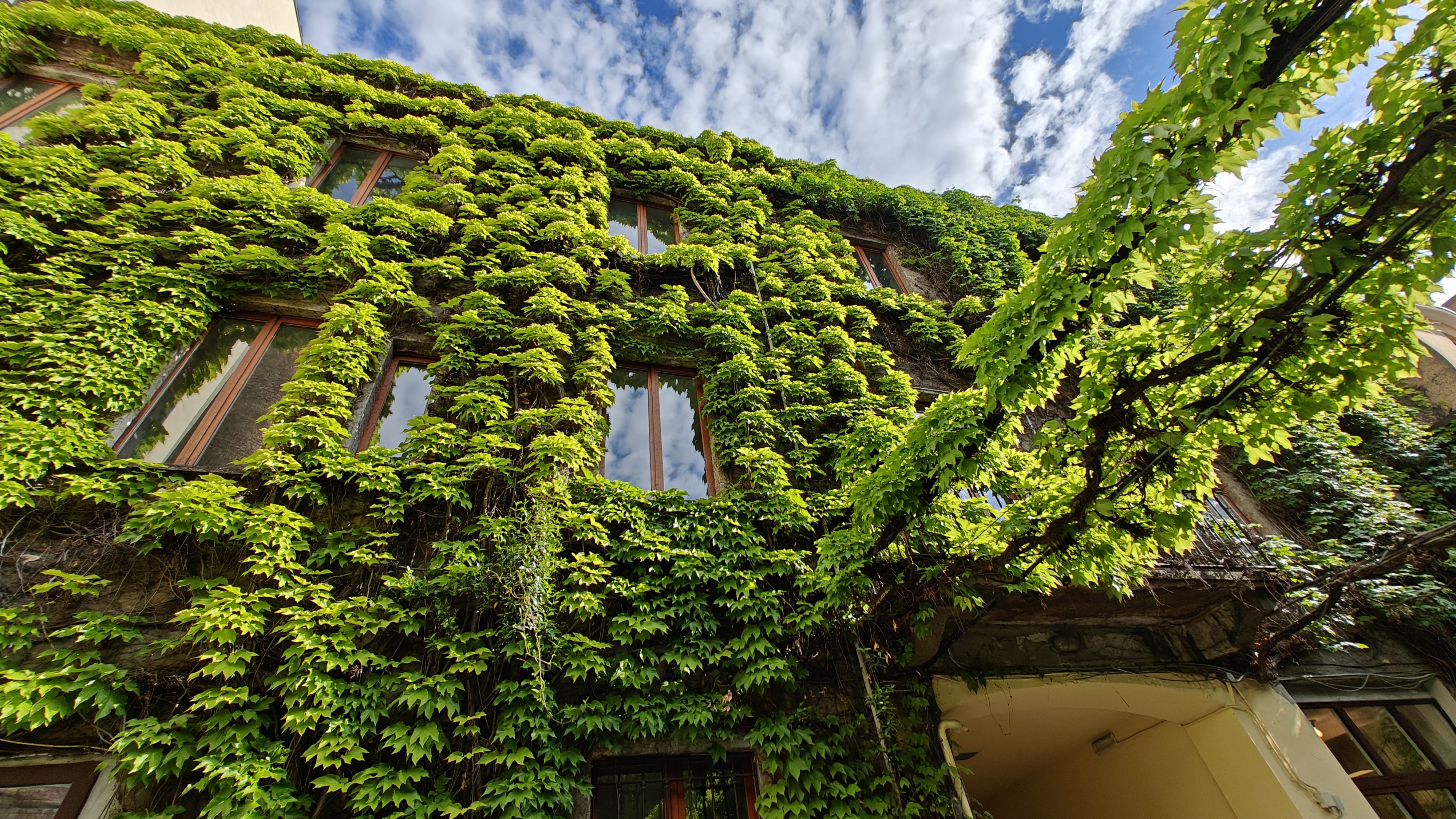 OnePlus 11 5G: Beispielaufnahme