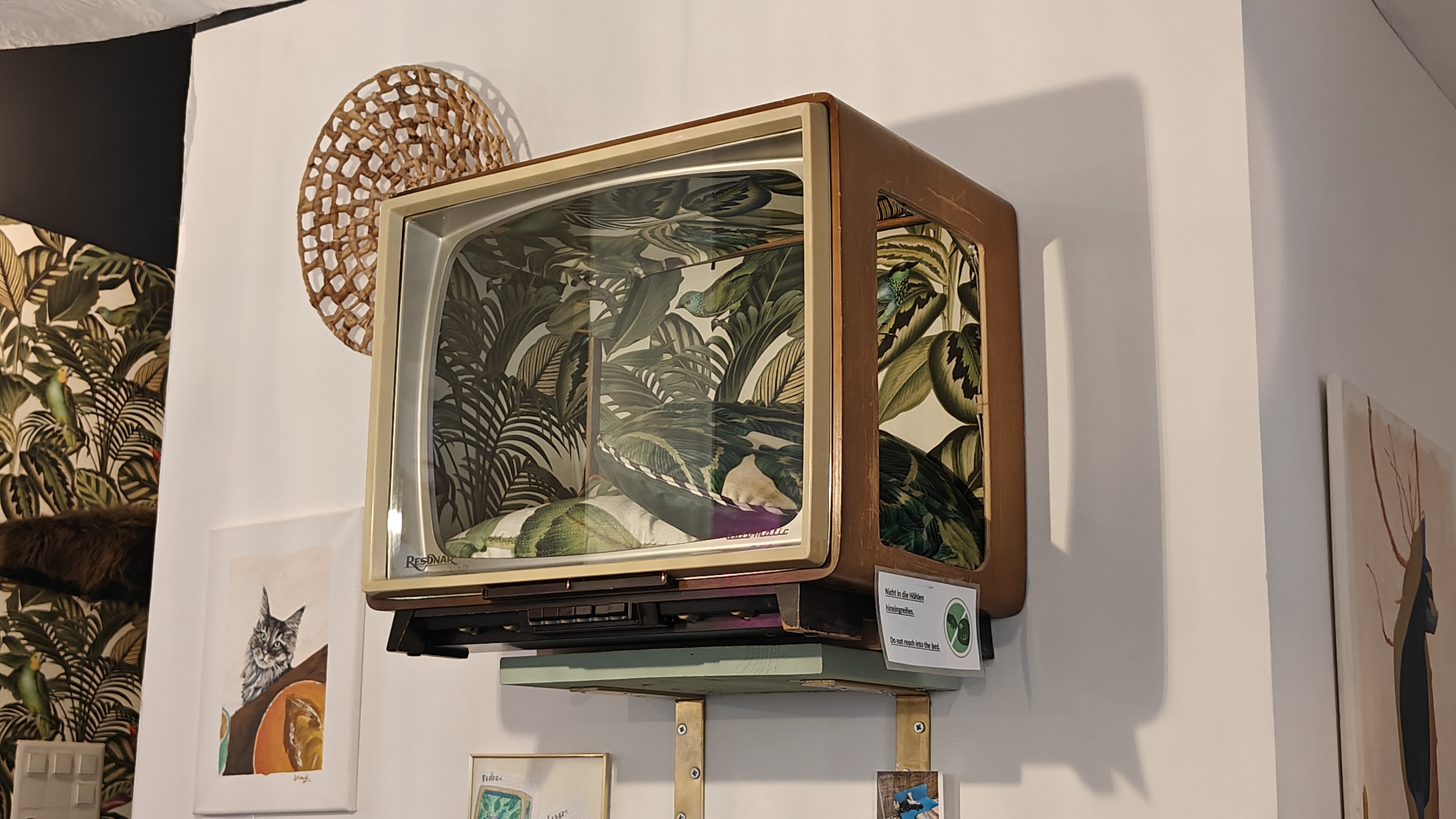 OnePlus 11 5G: Aufnahme im Inneren