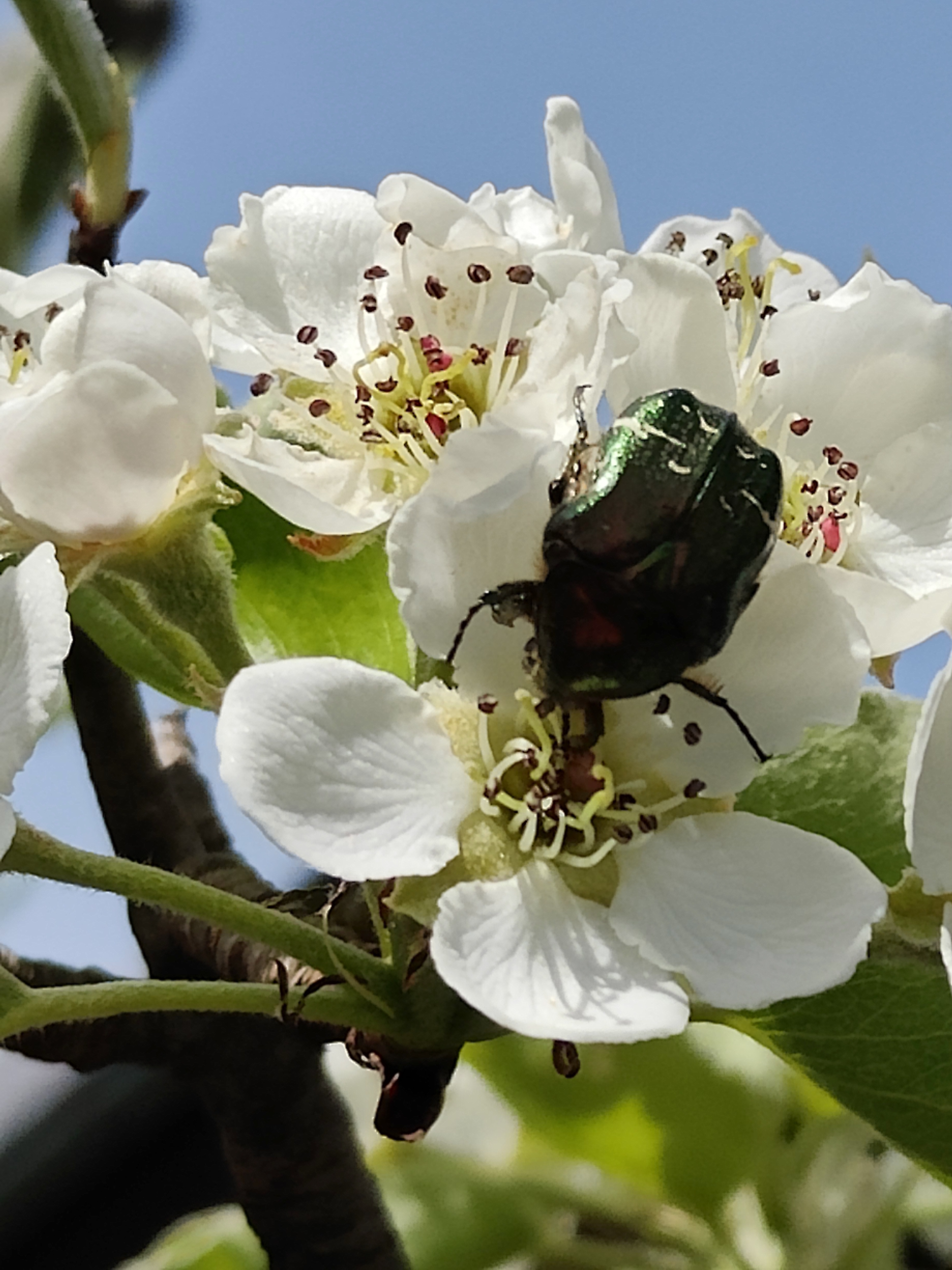 OnePlus 11 5G: Beispielaufnahme