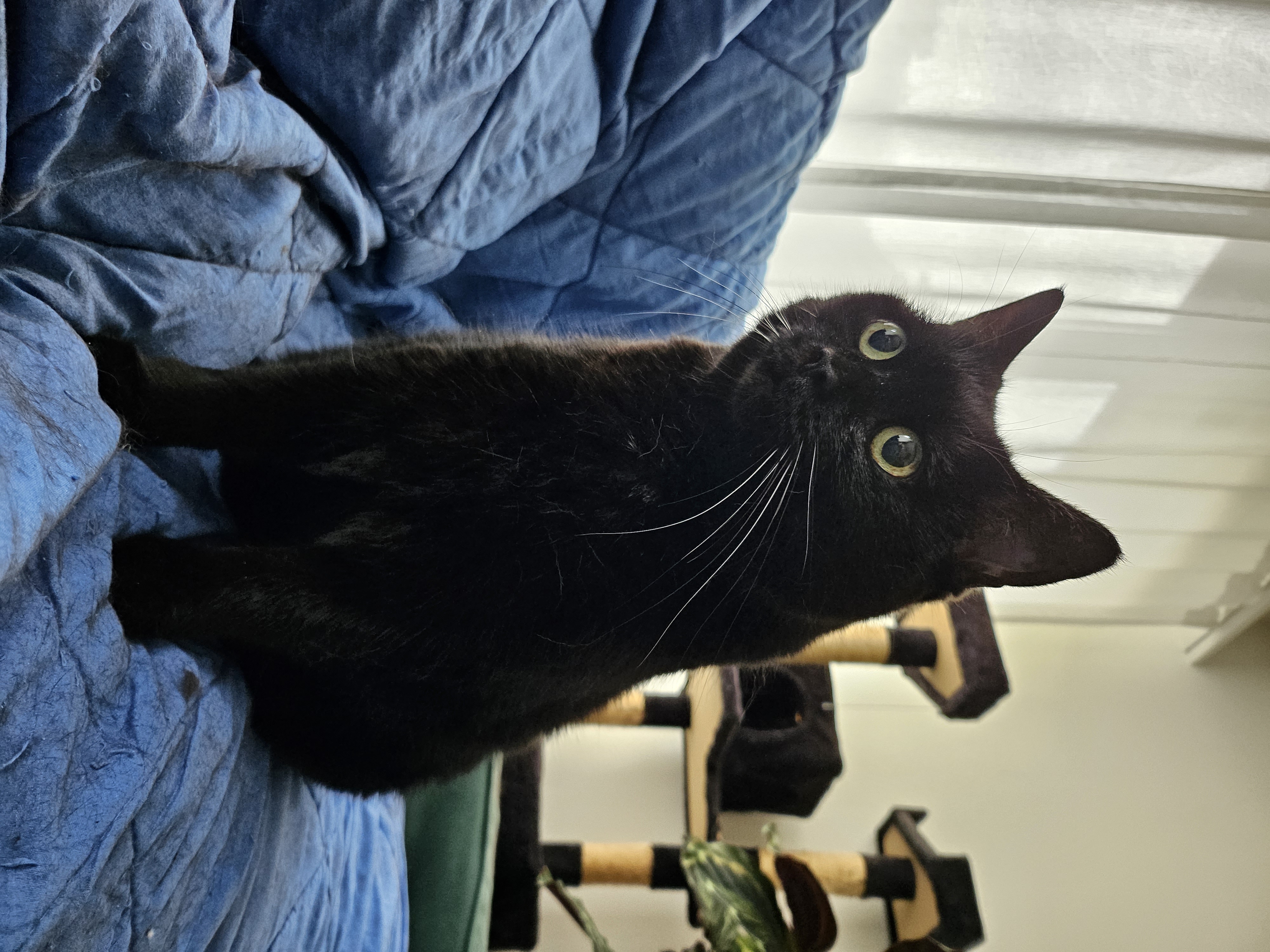 Beispielfoto Kamera Galaxy Z Flip 5.