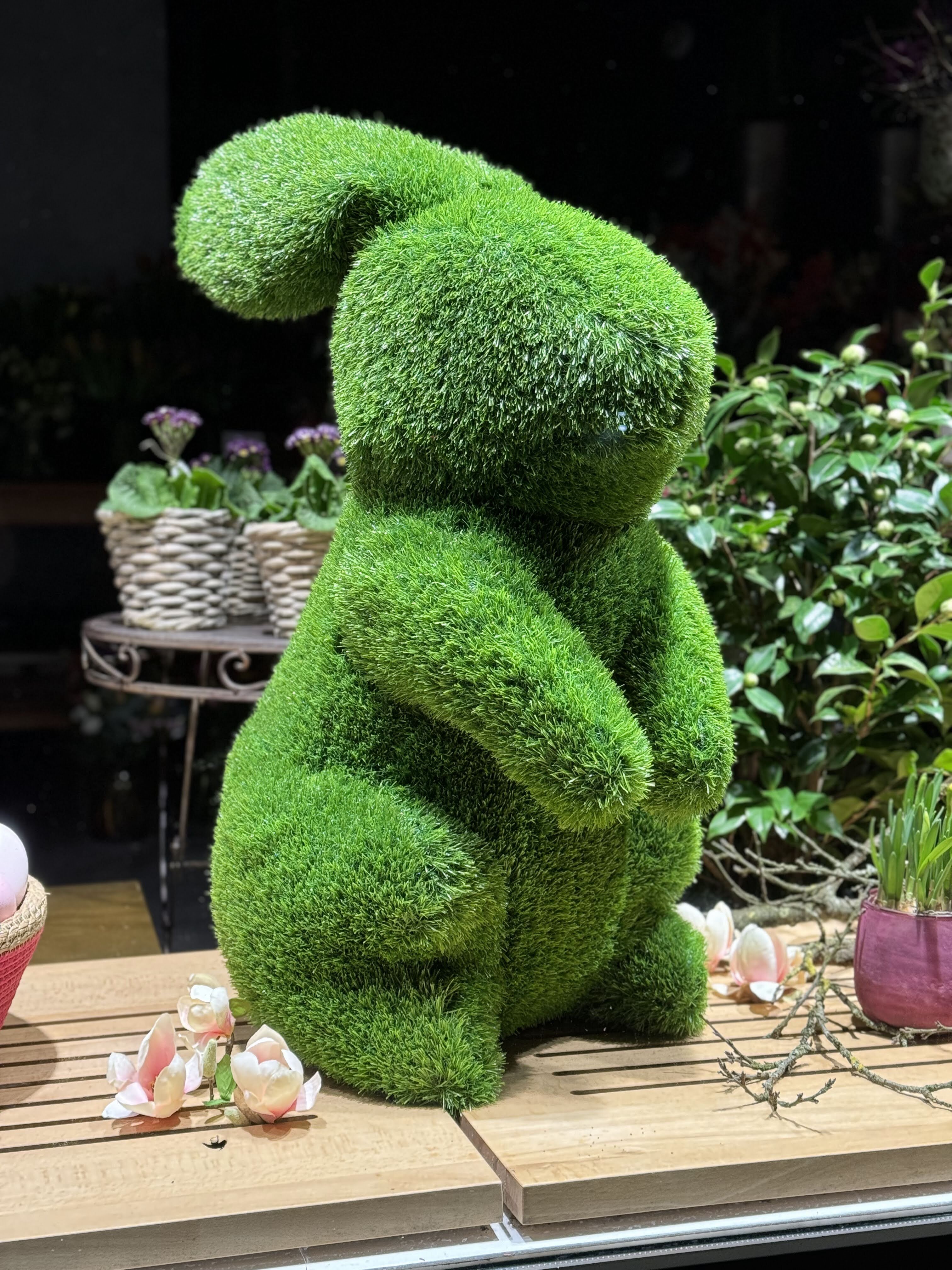 iPhone 15 Pro Beispielfoto.