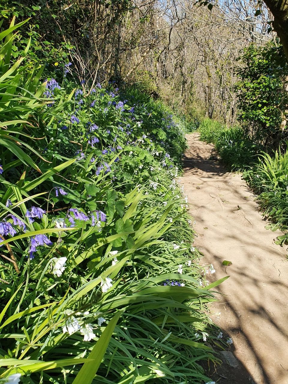 The Duty and the Choice