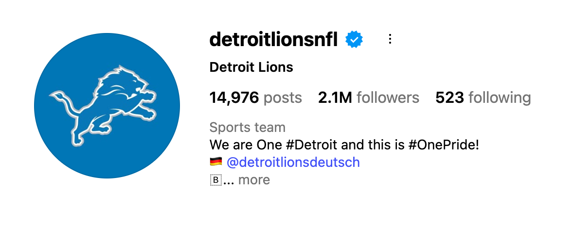 Detroit Lions Screenshot