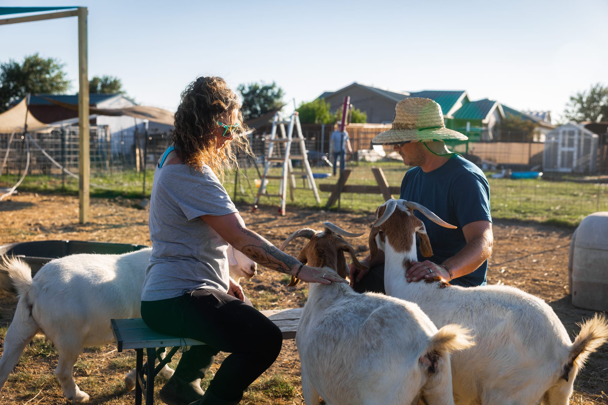 Alli and Justin sit with rescued goats in a pasture at The Zend