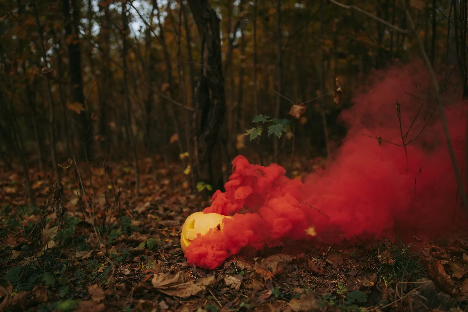 Best Halloween songs