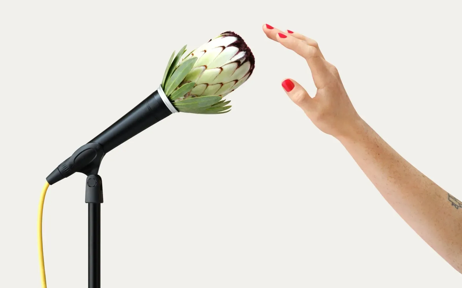 Flower microphone